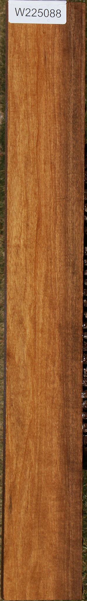 225088_1_1f846eb2-b46f-4468-8430-71aa15200f82 15043358327155