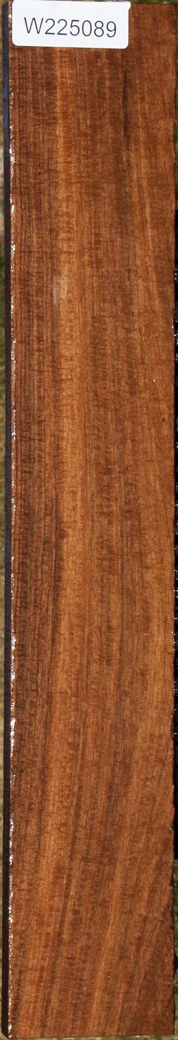 225089_1_948e41d2-ed1a-4e0b-bc22-8087481c9119 15043358359923