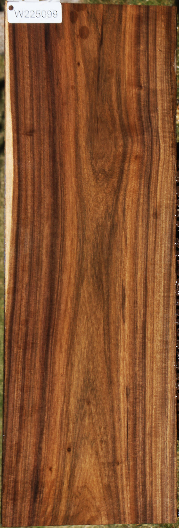 225099_1_04c86cff-eedb-400e-b42e-f2a81c713c52 15043358720371