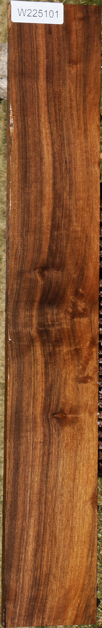 225101_1_e31dafdb-a53c-433a-ad61-214e5ac2c1bc 15043358785907