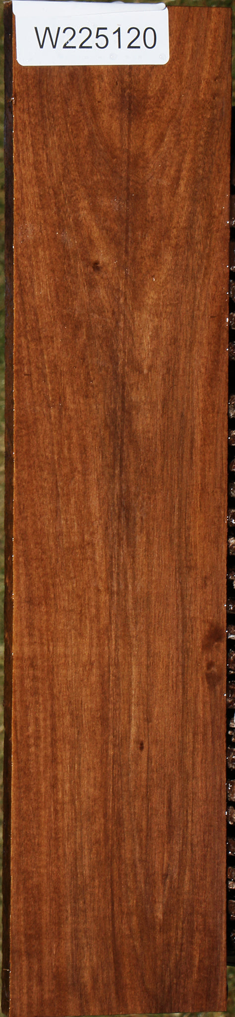 225120_1_ebec5e1c-4db0-4924-b6a8-2dad2b0f976c 15043359539571