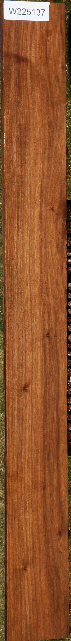 225137_1_3c991242-12a4-4ee8-8787-132af4ddfad0 15043360096627