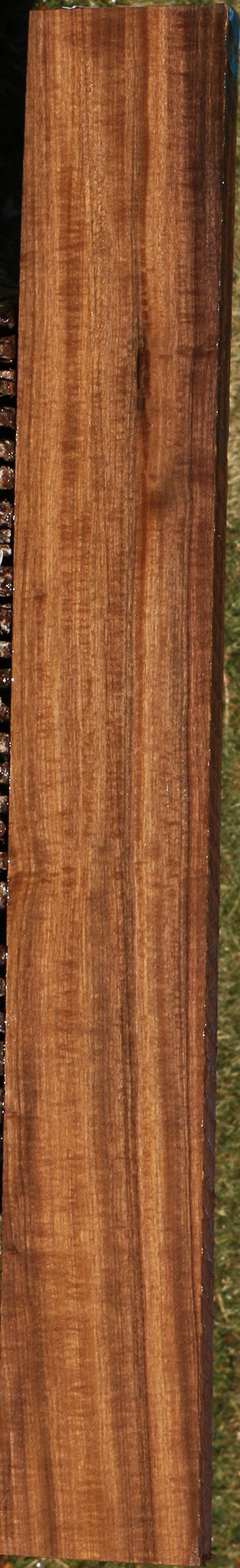 225172_1_31c72715-b889-4ca9-8f5c-75baee6ca3de 15043361309043