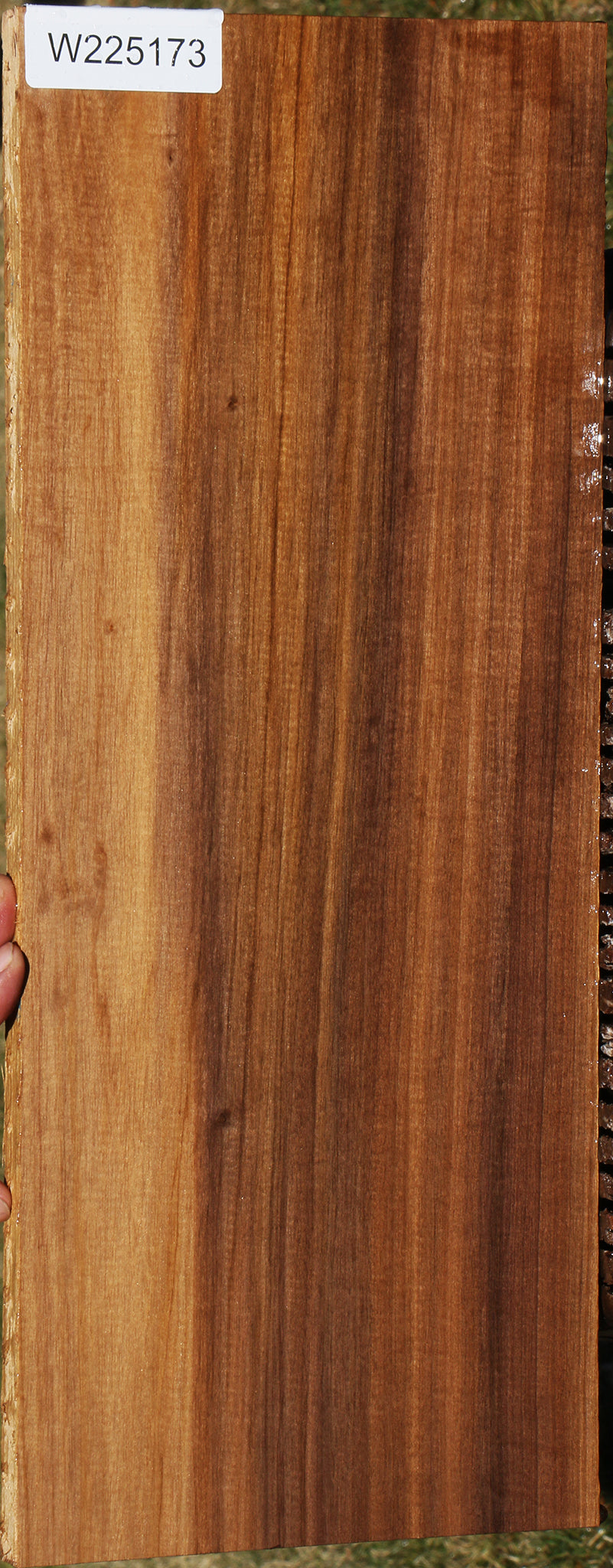 225173_1_bffe9e50-5e46-49c4-9ed2-79b37ce360c0 15043361341811