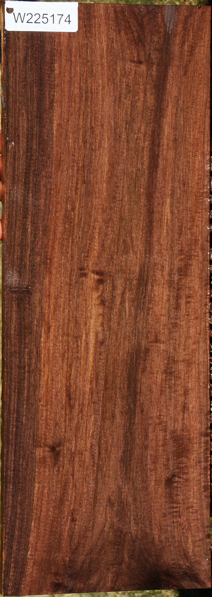 225174_1_6bab72cd-51ce-477b-8bc7-690125996d16 15043361407347