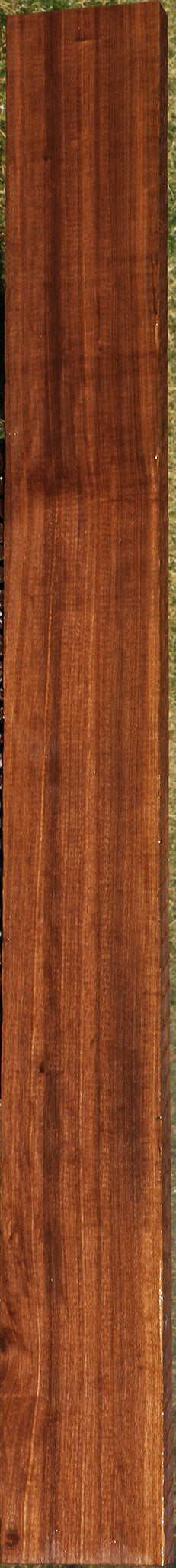 225177_1_b49b8daa-71bb-452b-a672-98abc1df19ab 15043361538419