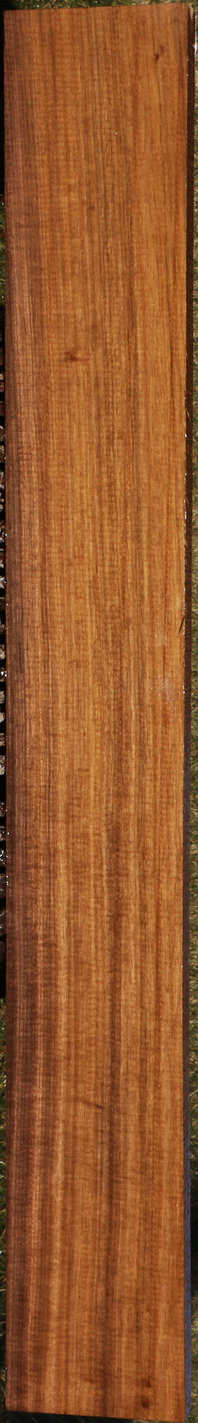 225186_1_8f2e8a74-acf6-4e54-8469-28ec9a1274b1 15043362062707