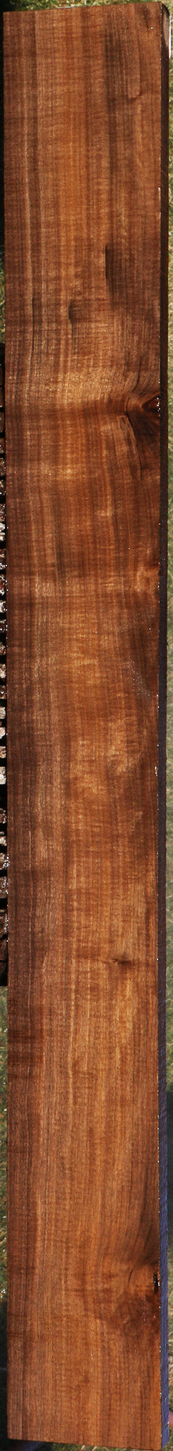 225187_1_ab1c8c14-6c53-440d-bba2-95246772d18b 15043362095475