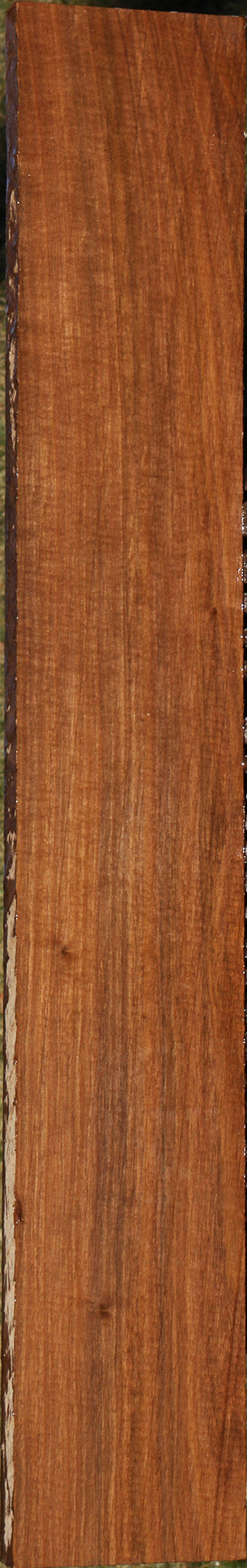 225191_1_69d1af0e-35ba-4e4c-a767-1e65436a332c 15043362259315