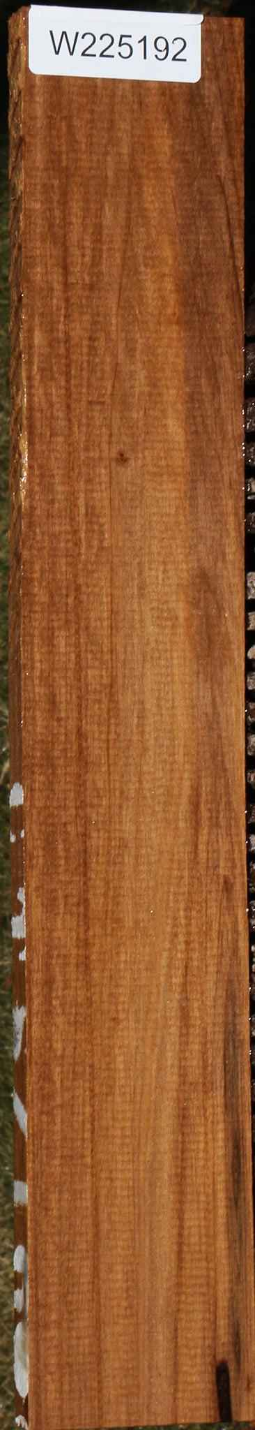 225192_1_cd6848fe-da15-4bf7-88c1-21431a65c970 15043362292083