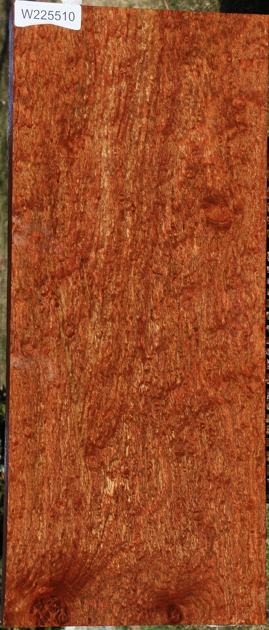 225510_1_1bb9f9e9-c9d7-4e62-b0d2-79f07b50204f 15046123749747