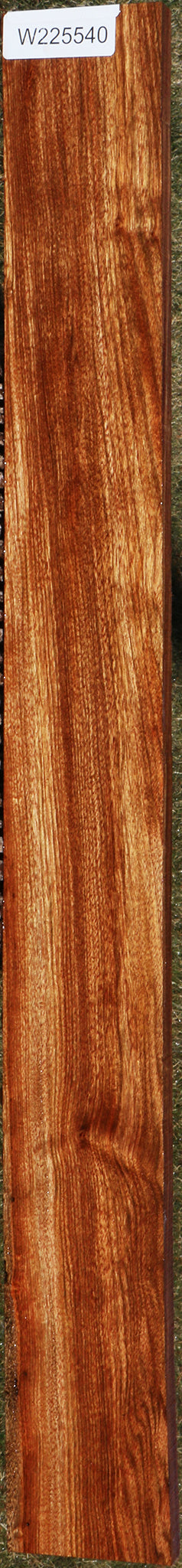 225540_1_1fa9dbc2-7a9f-431b-b24b-461a673af825 15046125224307