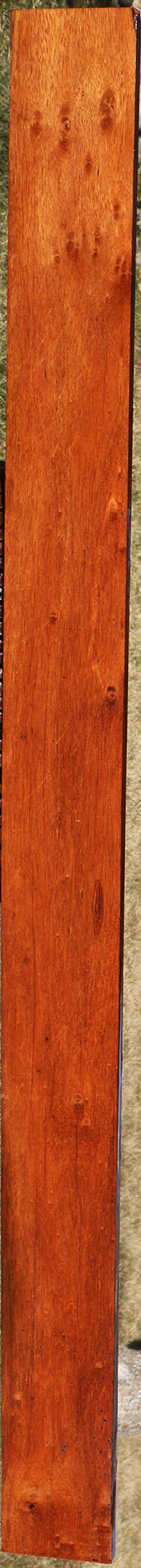 225569_1_345d58e4-b47c-4071-88f7-07021d89464d 15046145311091