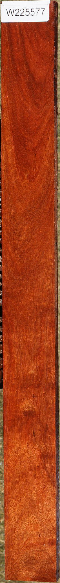 225577_1_13f8df20-5538-451d-bfaa-a3145e951e33 15046145573235