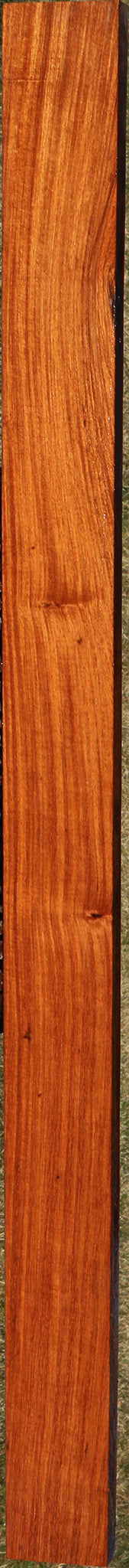 225582_1_d84b508e-6f5c-43f2-aab3-d4168be93ae1 15046145769843