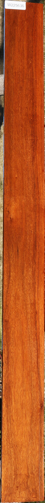 225636_1_9f6636b6-be73-4c11-8803-87404bb5d28a 15046147637619