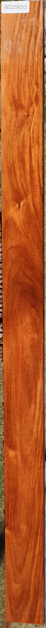 225653_1_08ecb008-d5f6-445b-b054-880ab1bb78a6 15046148260211