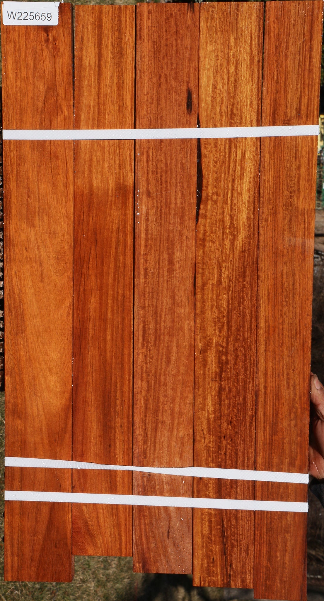 225659_1_8676d396-8057-450b-9ea1-7d7539a0c828 15046148489587