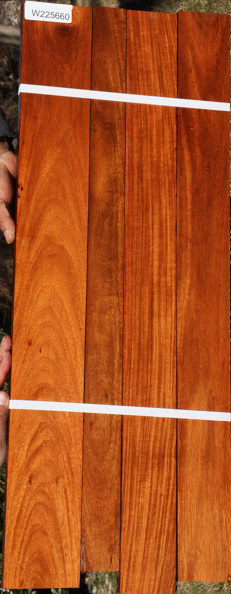 225660_1_abf771f0-ae57-4c57-9507-6a40be687fbb 15046148522355