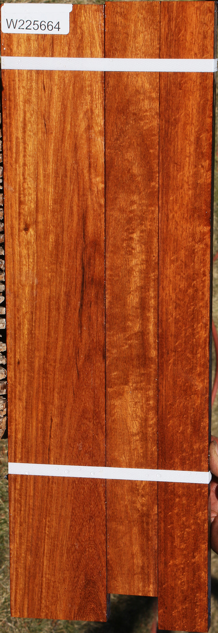 225664_1_cc85e0a5-60c2-4ef5-951c-93ef4bd26163 15046148653427