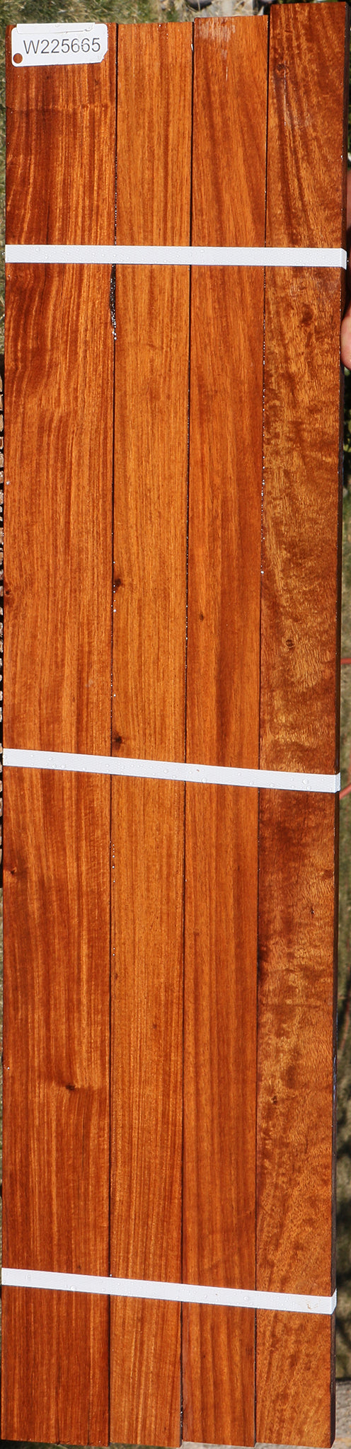 225665_1_51481aea-2230-4d6f-bee2-fd64caefbb66 15046148981107