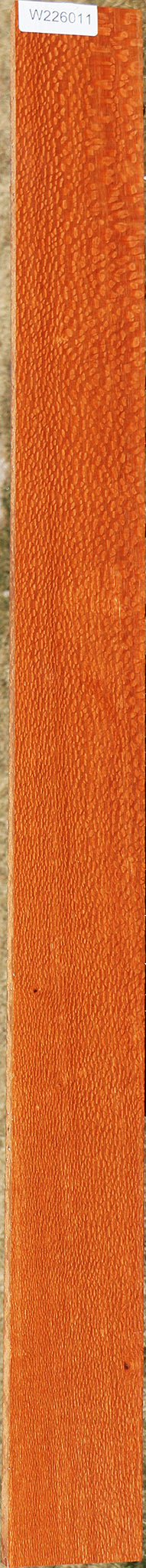 226011_1_6ef1d050-1f29-4df5-a194-d199e3e9c657 15048811872627