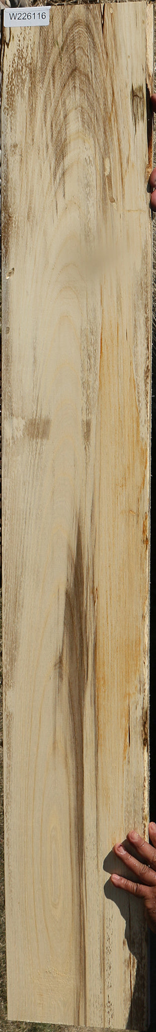 226116_1_18f9d913-e37b-4523-8229-261482bdfe18 15051950031219