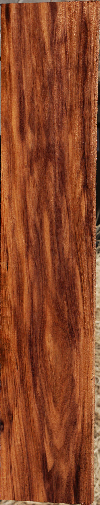 226319_1_a43ce20c-4f57-48b7-8416-9a74d5a88dbb 15052716671347