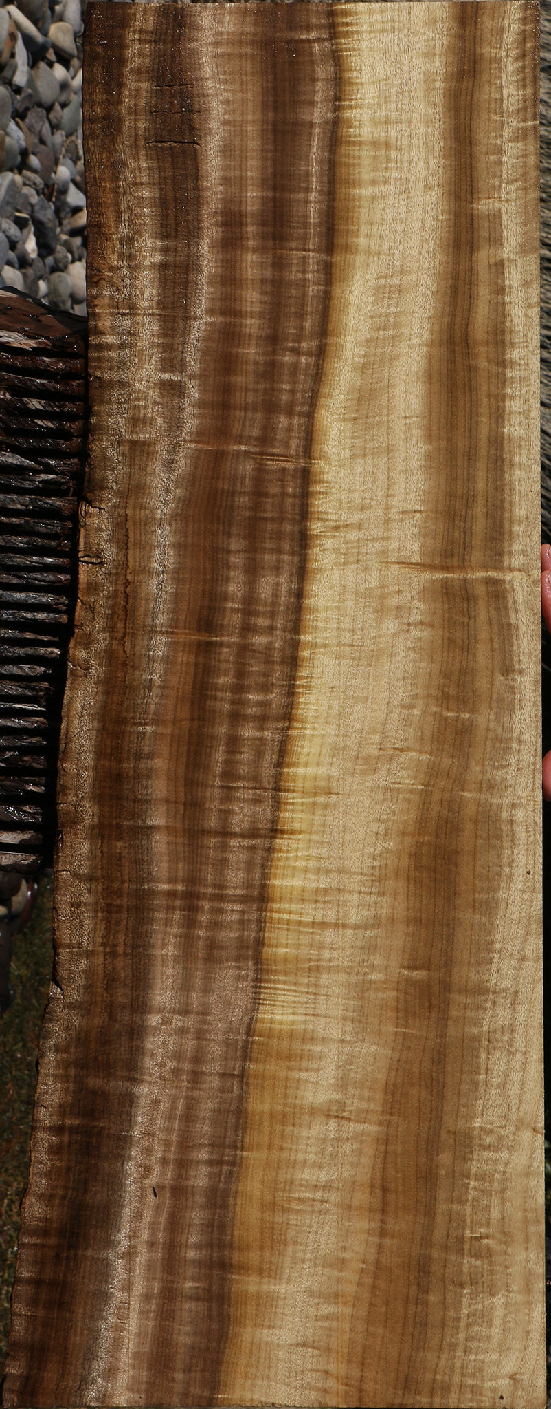 226368_1_d0c3a330-8555-46cd-a4bf-e18bbe1961d7 15056240771443