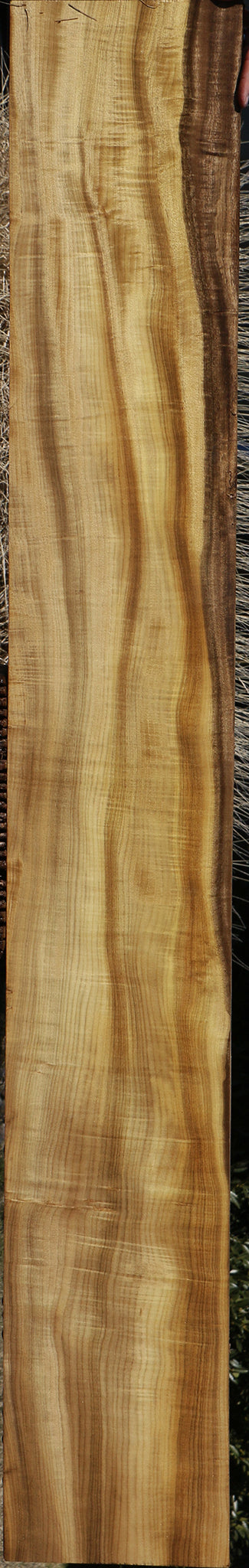 226405_1_c784780b-8ab5-4e75-bbfa-3fd304f54bd3 15056242508147