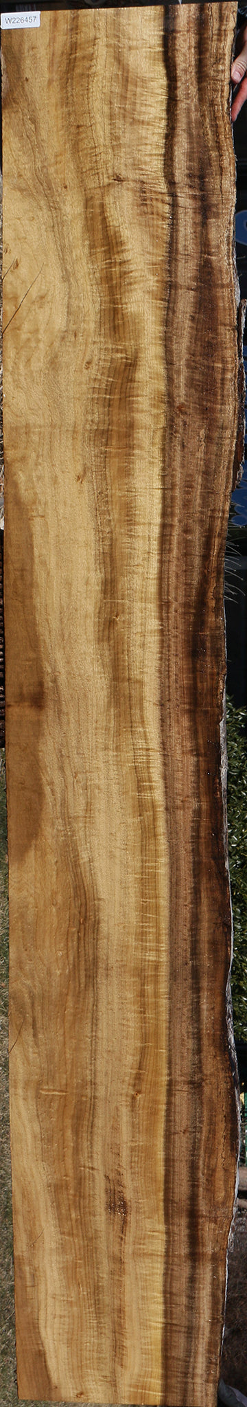 226457_1_54b24a14-de9e-4135-b519-9ba4b264f2b3 15056245522803