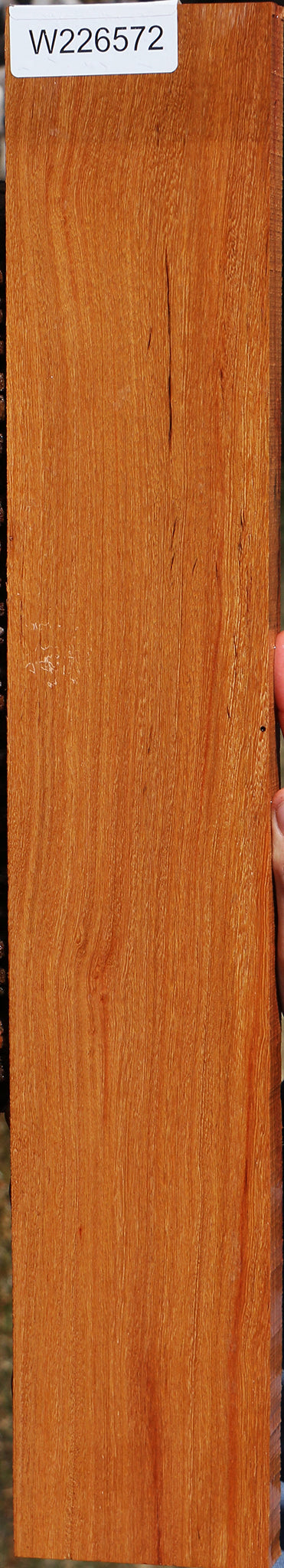 226572_1_c19fae78-374e-431a-91ee-c2e653ba3497 15056883417459