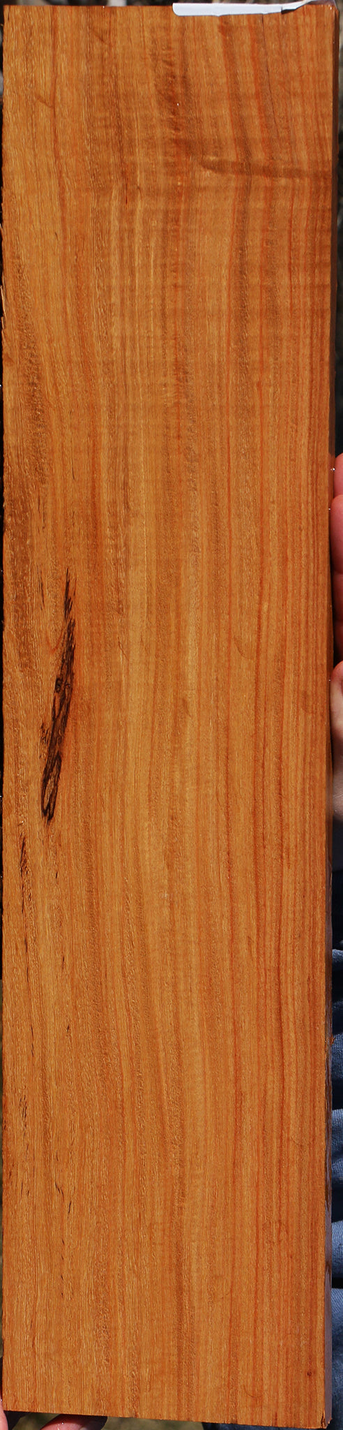 226578_1_61fe52e9-52b1-4ba4-83c7-38003560b30e 15056883745139