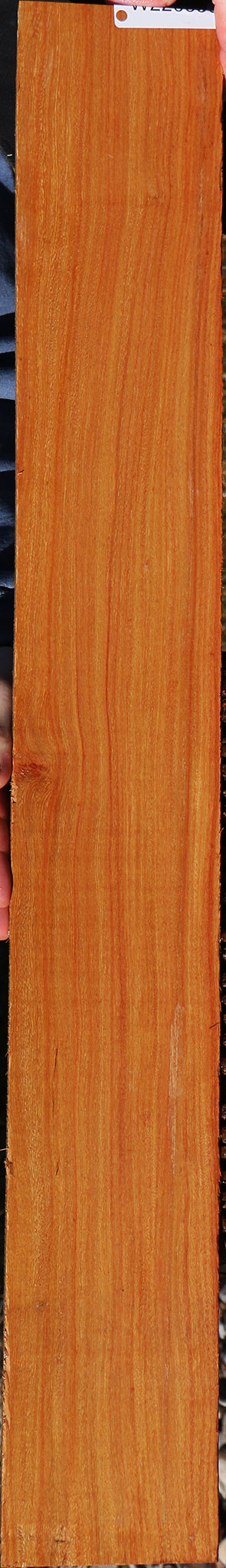 226580_1_7e64359a-46c9-4d4c-93b9-1cfb77f00b0f 15056883843443