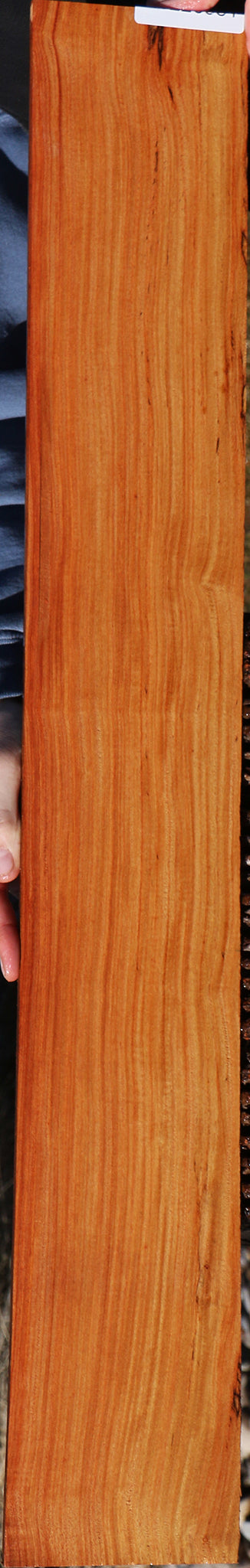 226581_1_b3640b62-1843-47f9-af4d-b57941f57eb1 15056883908979