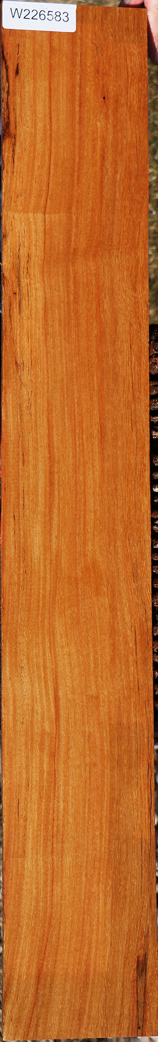 226583_1_189342ff-591a-4beb-ad2c-ab394d8ee304 15056883974515