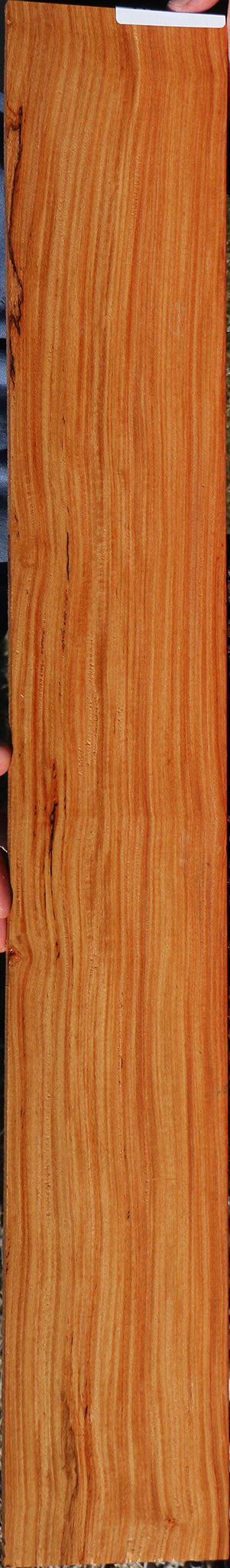 226586_1_f83ce78c-fdcb-4e6c-b8e3-360a351b6e7a 15056884105587