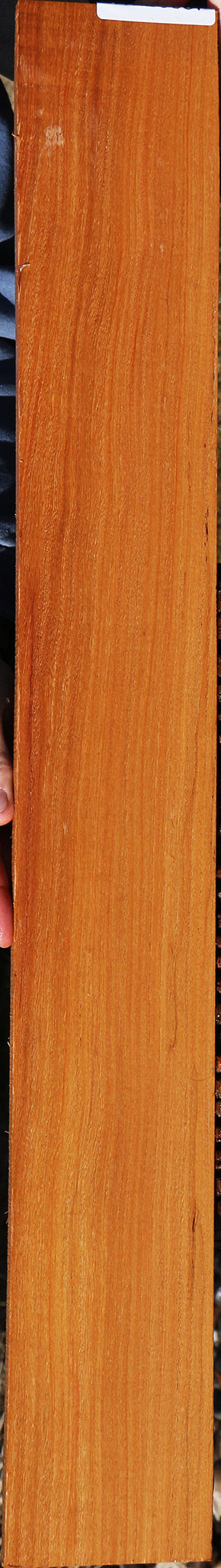 226587_1_eb130d45-0336-4e3b-9123-368998b44877 15056884138355