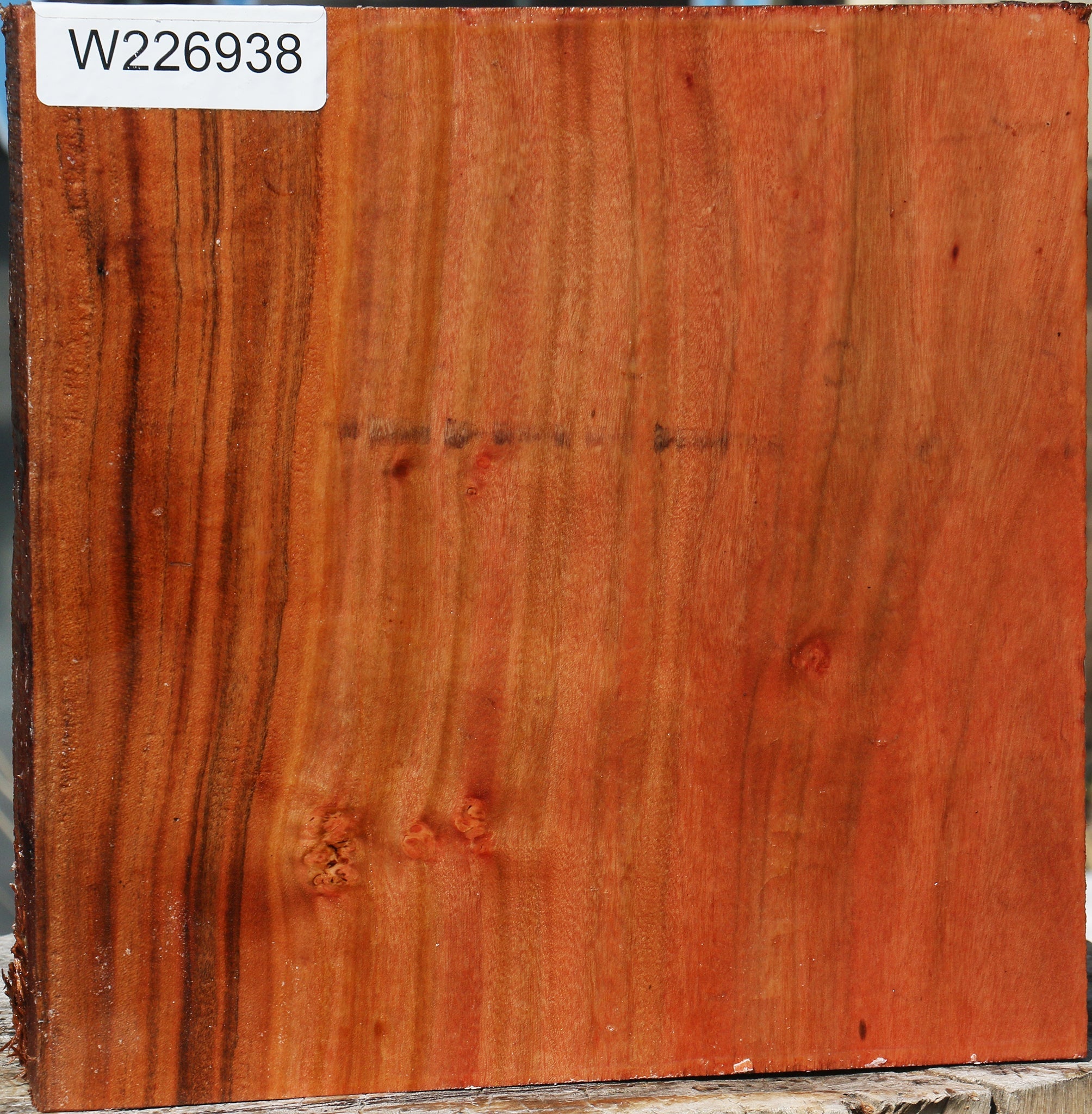 226938_1_2d02e277-140c-45fb-9574-6aca8db2c8b0 15061782462835