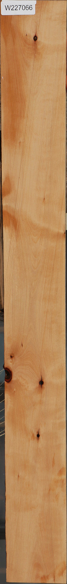 227066_1_d516e007-2653-4c21-90c8-56584d864b71 15060073087347