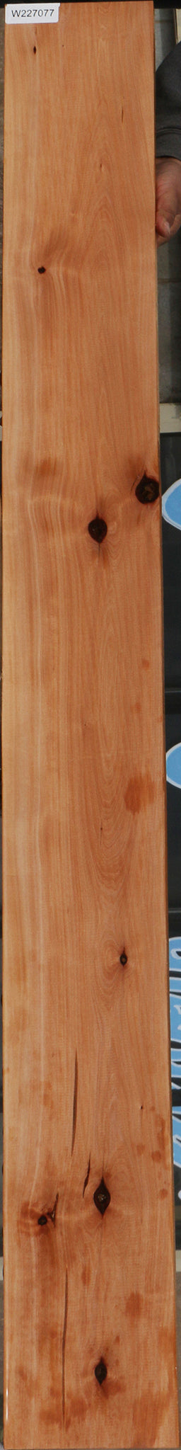 227077_1_f1849c93-8e1b-4100-895a-3e9c63767049 15060074398067