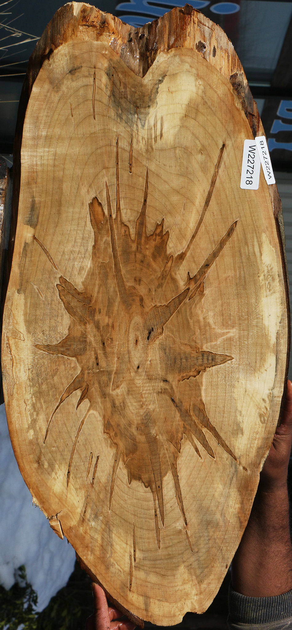 227218_1_59b0a41b-bd79-4dbd-8497-0f56b8f8e49e 15063087808883