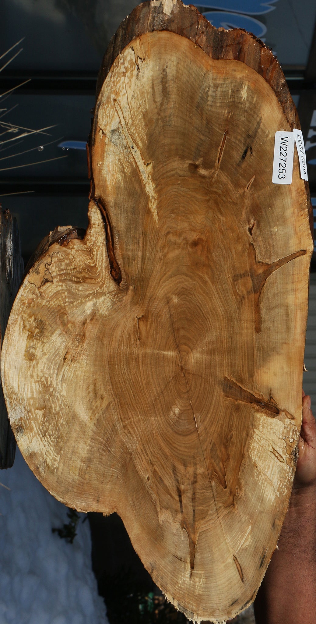 227253_1_f8bd3ef1-dfbb-4c2f-938a-931a4e2d8223 15063090299251