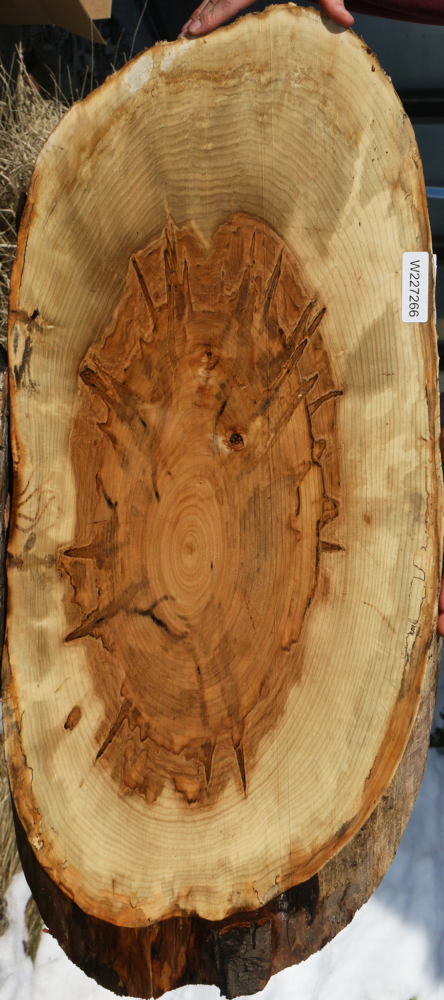 227266_1_f7c9baae-2f58-4f89-b8da-14bae5589ede 15063091315059