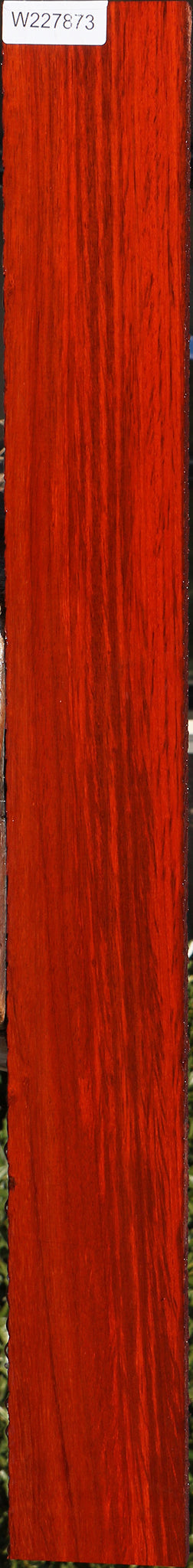 227873_1_5870e47d-34d2-4fda-861a-466a96bd4560 15070100160883