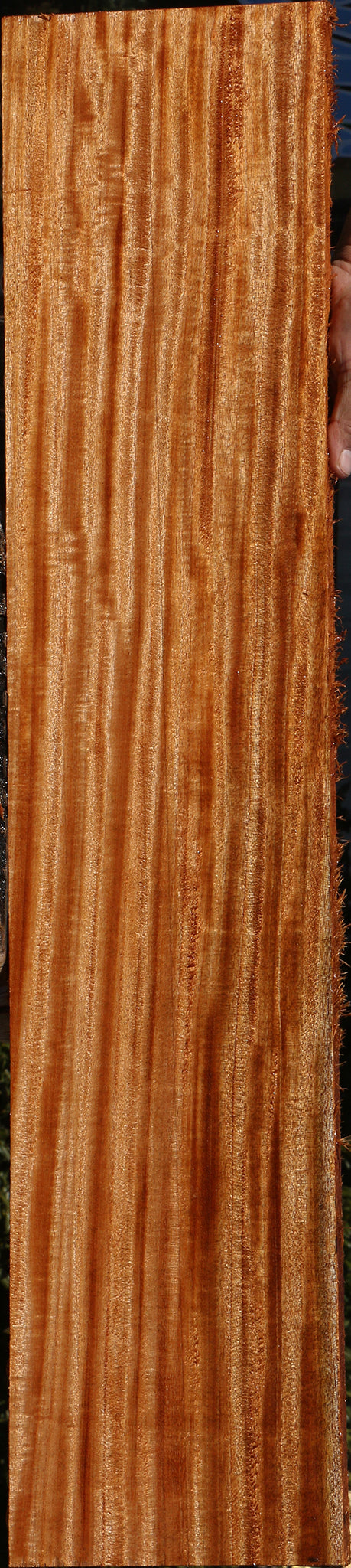 227928_1_c79f8c9e-5ed3-4d7b-be27-fdfaa49f40c8 15067695513971