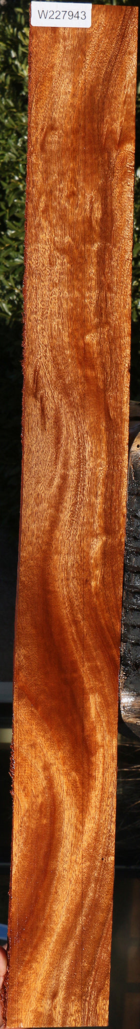 227943_1_3549250c-cf84-40ef-80a1-7f9f388a34b0 15067696038259