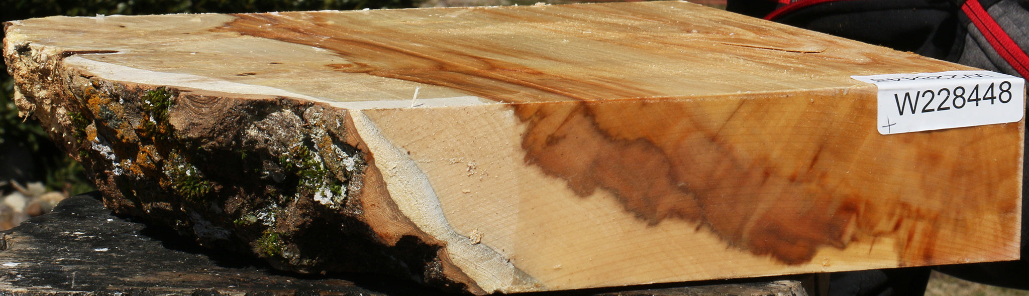 228448_1_52c81d56-73d2-4b5a-a250-3c938dacc78a 15069105193331