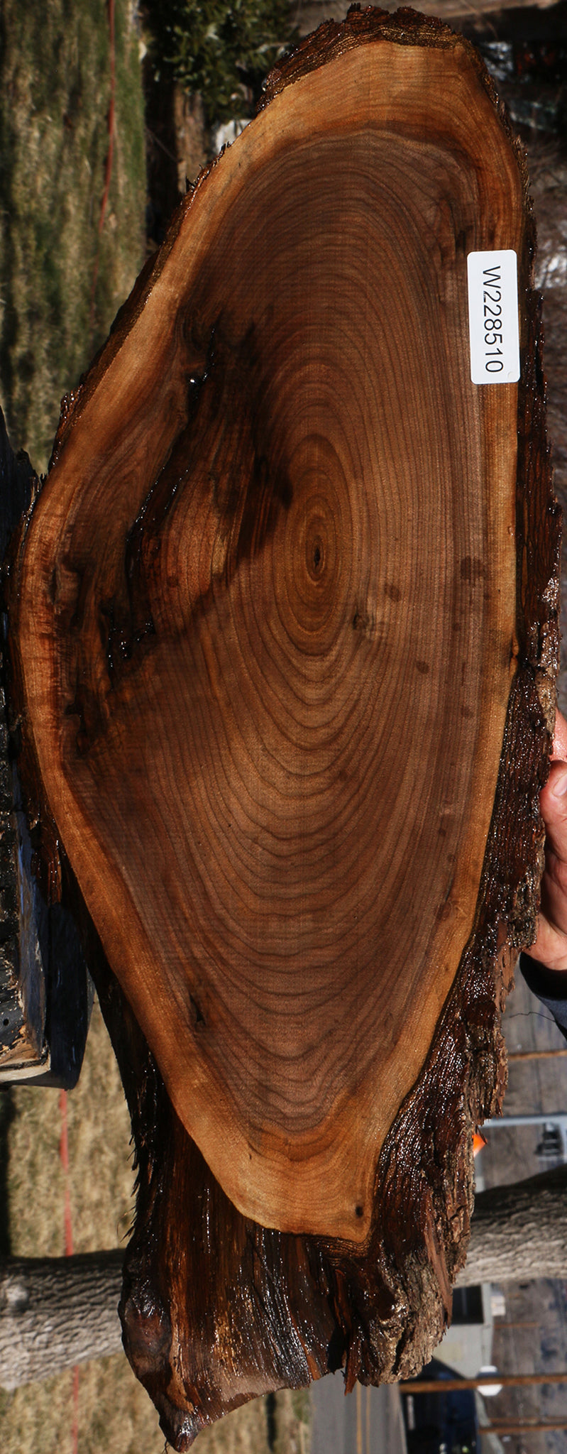 228510_1_78d2704c-56ff-422b-bef2-9737c55215a6 15070070767987