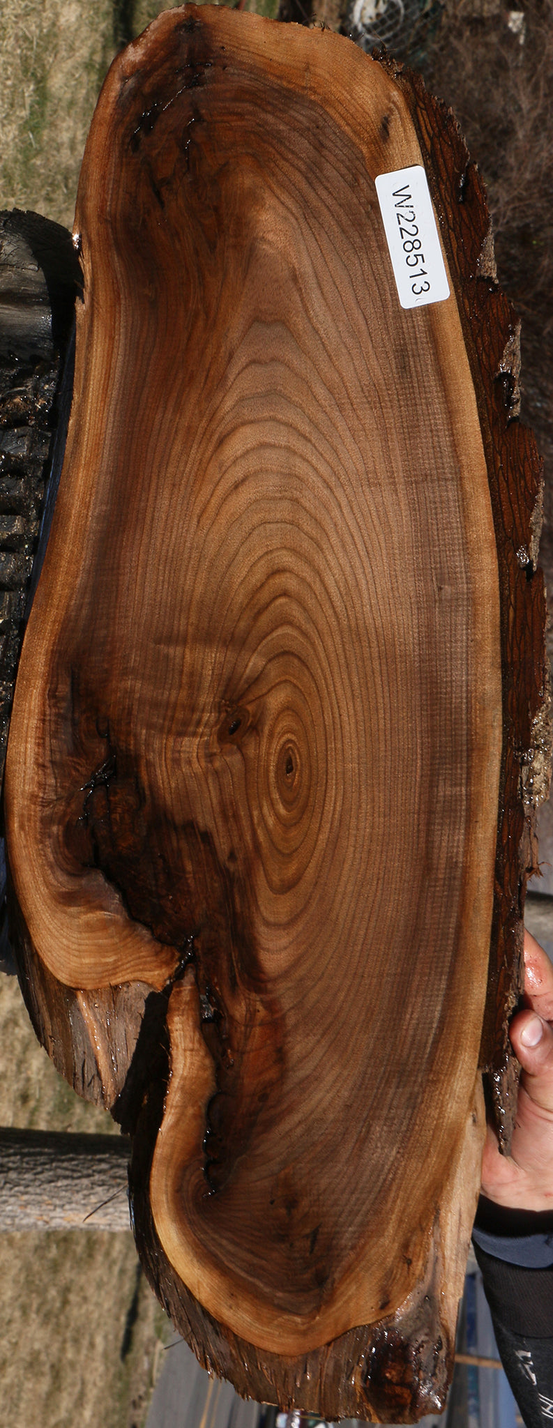 228513_1_ba94bb5e-596f-47f0-9791-4a9ee577bc00 15070071456115